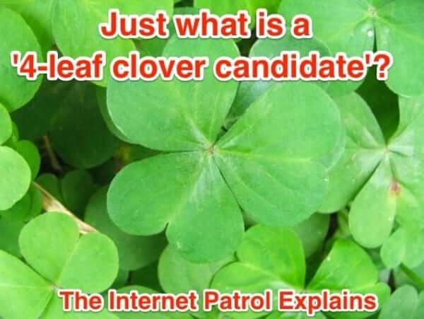 4 four leaf leafed clover candidate