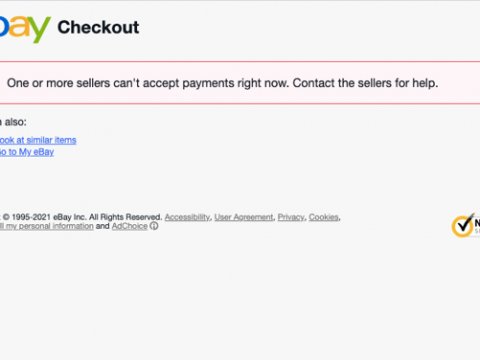 About the eBay "One or more sellers can't accept payments right now" Message