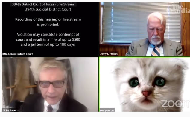 All About the Lawyer Cat Zoom Filter That's Taken Over the Internet