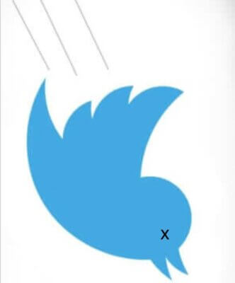 Elon Musk Kills Twitter Bird - X Marks the Spot