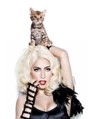Lady Gaga with a kitten on her head