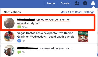 facebook comments plugin privacy issues