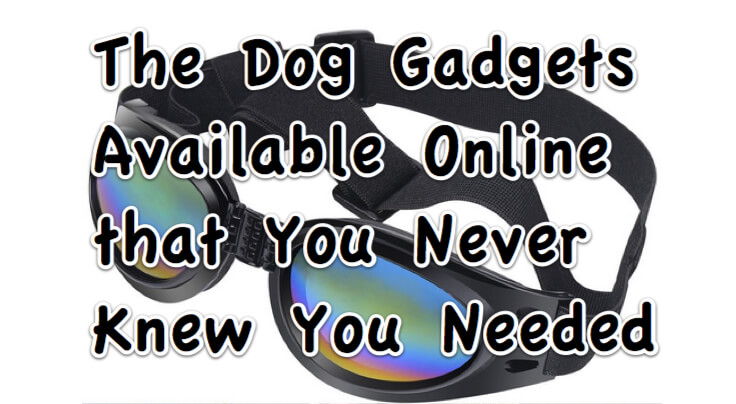 The Dog Gadgets Available Online that You Never Knew You Needed