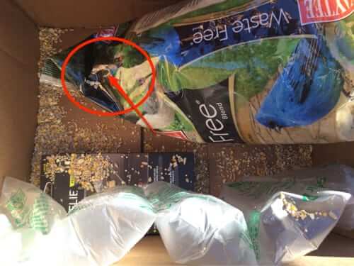 amazon bird seed food slashed in box bad packaging