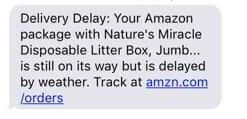 amazon text message delivery delay delayed