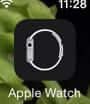 apple watch app icon