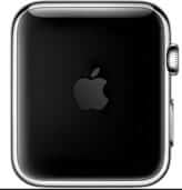 apple watch start up logo