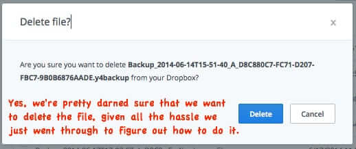 are you sure you want to delete a file from dropbox-1