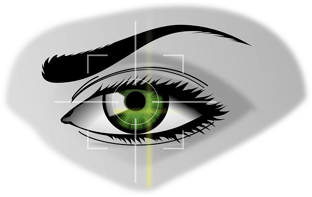 Biometrics such as the retinal scan is one of the ulti-factor authentication methods