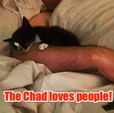 chad loves people-1