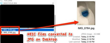 converted heic jpg file