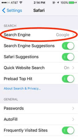 default search engine iphone google