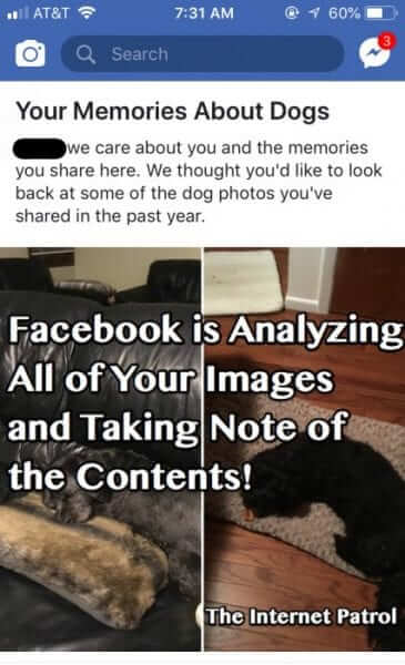 facebook image dogs dog analyizing content-1