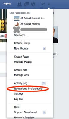 facebook news feed preferences-2