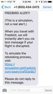 freebird rebooking travel alert simulation  2