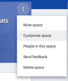 google space customize menu