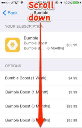 how to cancel bumble boost premium subscription