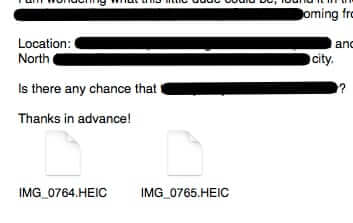 how to view heic file