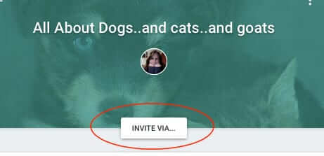 invite to google spaces