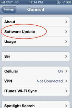 iphone software update settings