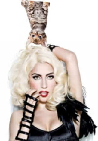 lady gaga with upside down kitten on her head rotate image in preview