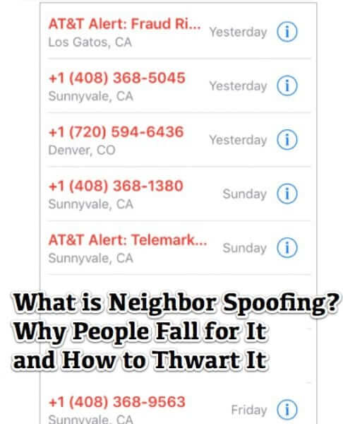 neighbor neighbour spoofing-1