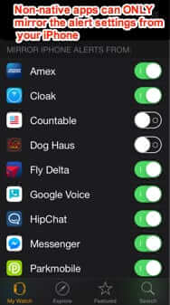 non-native alert and notification settings apple watch