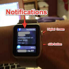 notifications on apple watch