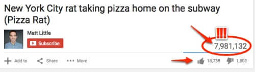 pizza rat viral views and likes