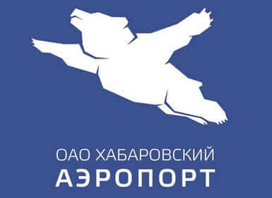russian airport flying bear logo bearport