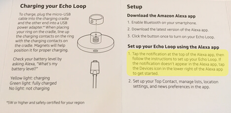 setting up the echo loop