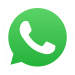WhatsApp's Business App and WhatsApp Business API
