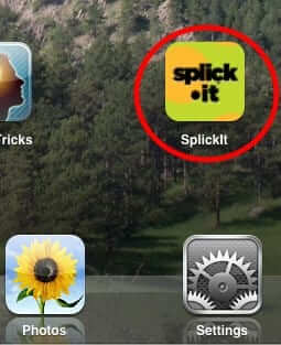 splickit-icon