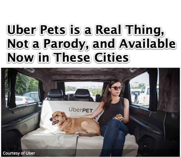 uber pets