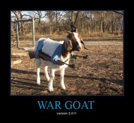 war goat
